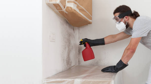 Professional Crawl Space Mold Remediation technician working in Bonlee, NC