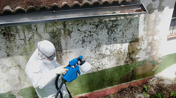 Top rated local Crawl Space Mold Remediation specialists in Bonlee, NC